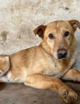 Mimi sucht geduldige Menschen! - München