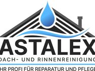 Dach- & Rinnenreinigung vom Profi – schnell & zuverlässig! - Schönau (Brend)