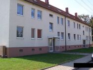 Gemütliches Einzimmerapartment am schönen Geiseltalsee sucht Nachmieter! - Mücheln (Geiseltal)