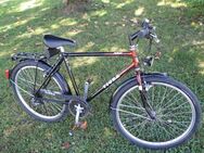 Schweizer Jugend Herren Velo Tigra 26Zoll 21Gang - Volketswil