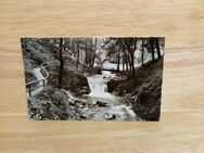 Ansichtskarte-AK-903-Baden-Baden. Geroldsauer Wasserfälle. - Nörvenich