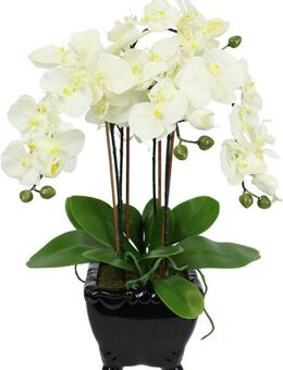 Kunstblume Künstliche Orchidee in Schale Phalaenopsis Kunstblume Blume, I.GE.A., Höhe 60 cm, Kunstorchidee Deko Dekoblume Seidenblume