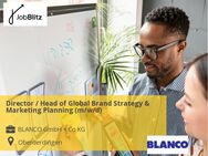 Director / Head of Global Brand Strategy & Marketing Planning (m/w/d) - Oberderdingen