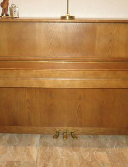 Piano Royale DU-11, Eiche hell, aus 1. Hand, Baujahr 1989 - Waldsolms
