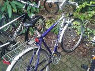 Männer Fahrrad 26-27 Zoll zu verkaufen - Garching (München)