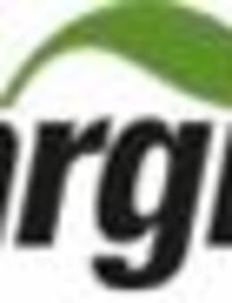 Teamleiter Elektrotechnik und Mess- / Steuer- / Regeltechnik (MSR) (m/w/d) - Riesa