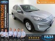 Ford Kuga, 2.5 FHEV Hybrid TITANIUM X iACC, Jahr 2024 - Premnitz