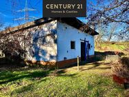 Einfamilienhaus mit Einliegerwohnung, 3 Garagenplätzen und einem Stall - Ein Traum für Tierhalter! - Illingen (Saarland)