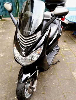 Motorroller Peugeot Elystar 50 *TOP Zustand - Kaarst