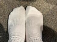 Smelly getragene Frauen Socken Socken - Dingolfing