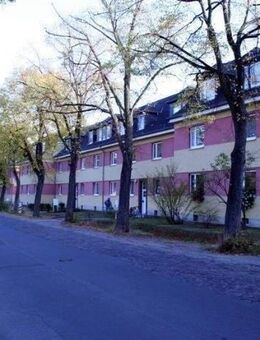 Helle 2-Raum-Wohnung mit neuem Look in Schönebeck Randlage - Schönebeck (Elbe)