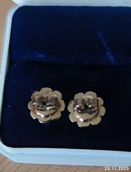 585-Gold Ohrstecker-GegenPlatten - Berlin