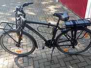 E-Bike (Pedelec) Adore E-Citybike 28" 1A Zustand - Hannover