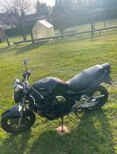 Suzuki GSF 1200 Bandit in 03130