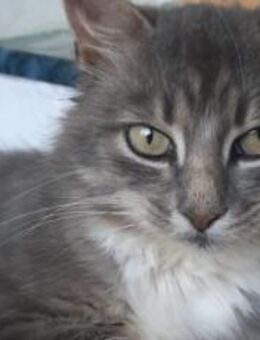 Ruhepool auf 4 Pfoten: Hier kommt Cooper - München