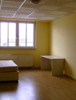 Heidelberg/Rohrbach, 1 ZKD - Heidelberg