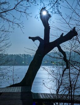 4 Hochglanzfelgen 19" plus 4 ungefahrene 235er M&S Reifen - Königs Wusterhausen