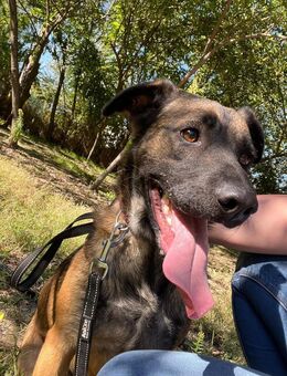 Jony LM superlieber Jungspund - Neustadt (Rübenberge)