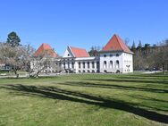 Wohnküche + Schöne Aussichten gesucht? Wohnen am Kurpark mit Blick auf das Gradierwerk + Tierpark! - Naumburg (Saale)