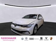 VW Golf, 1.5 VIII eTSI Mildhybrid digitales, Jahr 2023 - Mönchengladbach