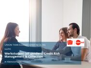 Werkstudent (all genders) Credit Risk Management & Collection - Kleinostheim