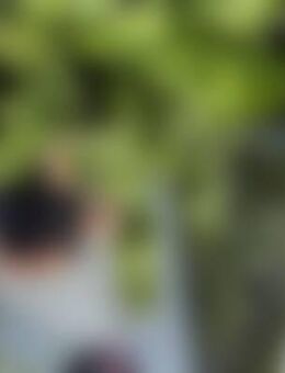 Nic*** - Schwaig (Nürnberg)