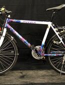 Herrenfahrrad der Marke Mondia , B25/040 in 5000