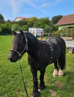 Tinker Wallach - Grabfeld