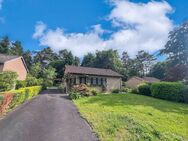 Bungalow in naturnaher Ortsrandlage ob als Ferienhaus oder Erstwohnsitz: Hier ist alles möglich! - Breitscheid (Landkreis Neuwied)