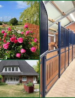 Landhausvilla für anspruchsvolle Pferdehalter - Schnarup-Thumby