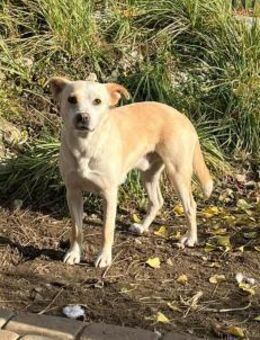 Boots stellt sich vor! - Koblenz