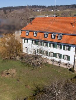 Historisches Anwesen trifft moderne Eleganz - ehemalige Vogtei mit Alpenpanorama - Ühlingen-Birkendorf