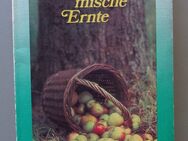 John Steinbeck: Stürmische Ernte (1977) - Münster