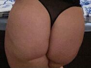 Curvy Wife sucht - Sülzetal