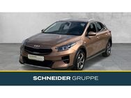 Kia XCeed, 1.5 T-GDI Edition 7, Jahr 2022 - Hof