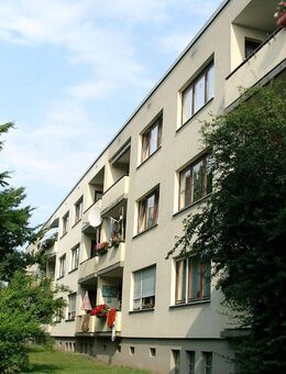 Großzügige 3-Zimmer-Wohnung mit sonnigen Balkon in Fritzlar - Fritzlar