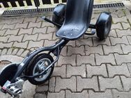 Trike Pro 100 und Space Scooter ( Wipp Roller ) - Heidenrod