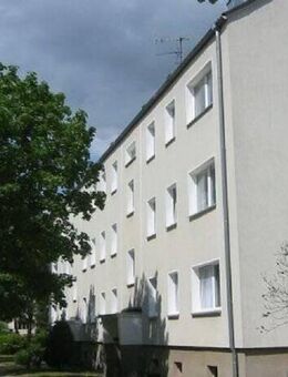 Eine schöne 4-Raum-Wohnung im Grünen wartet auf Sie! - Plattenburg