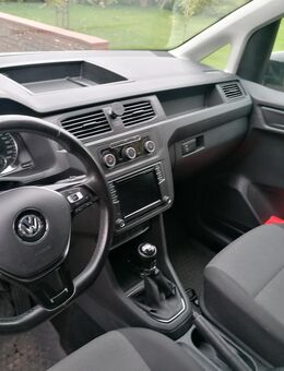 Volkswagen Caddy Maxi 1,4 TGI, Benzin/CNG, Sortimo-Regale, Sitzheizung, Tempomat, AHK, LKW-Zulassung und Vieles mehr - Friedrichsholm