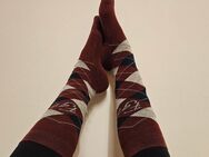 Wer will diese getragenen Reitsocken - Siegburg