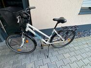 Viktoria Trekking Rad 1.7 Rahmengröẞe M - Neuwied