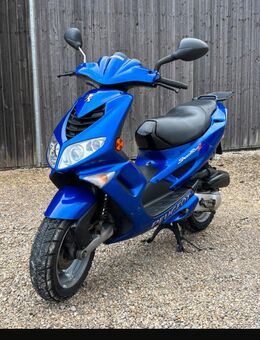 Peugeot Speedfight 2 ***100ccm*** - Rehlingen-Siersburg