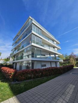 Exkl. 2 Zi. EG Wohnung, Terrasse, Garten & Stellplatz Bj 2018 Mannheim - Provisionsfrei!** - Mannheim