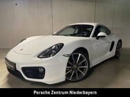 Porsche Cayman, (981) | Surround | |, Jahr 2016 - Plattling