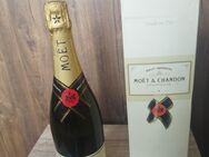 Moet & Chanson champagne - Heide