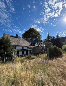EFH Clausnitz - Rechenberg Bienenmühle mit großem Grundstück und Garage / SP - Rechenberg-Bienenmühle