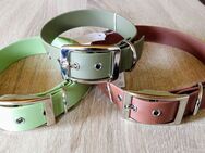 Halsband - Hundehalsband - Halsbänder - Hundehalsbänder - Neu - Rastede