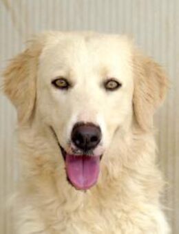 Cecilia möchte neues Leben starten - Neuss