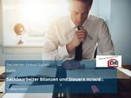 Sachbearbeiter Bilanzen und Steuern m/w/d - Mannheim