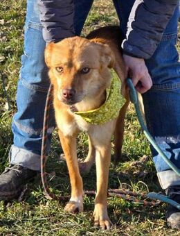 Soziale ZIRA ist bereit für neues Leben♥ - München